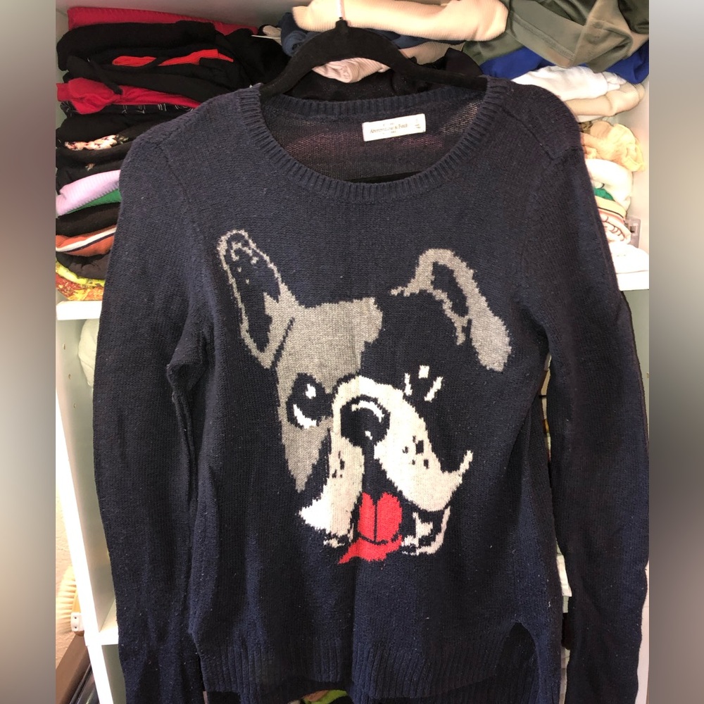 Abercrombie and Fitch sweater with pug face